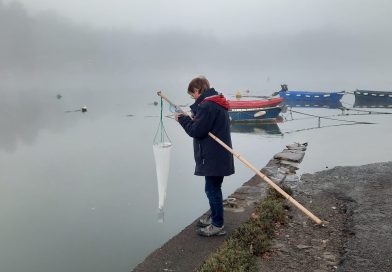 Plélèvement plancton à Kerseaux