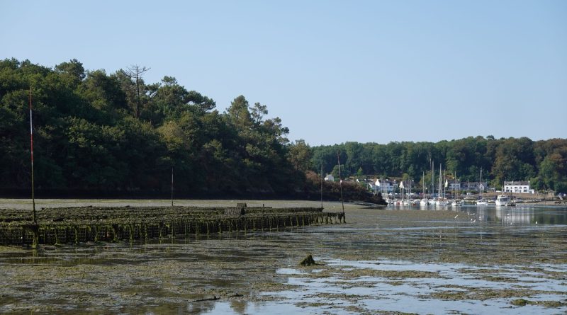 Le Bélon à Kermeur